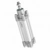 NEW Rexroth Bosch Pneumatic Cylinder 0822398210 D 100 H 100