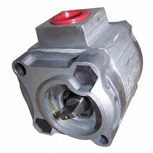 Haldex AOC Gen 1, 2, 3 precharge pump repair kit - Maxi. Fit to VAG, Volvo, Ford #3 image