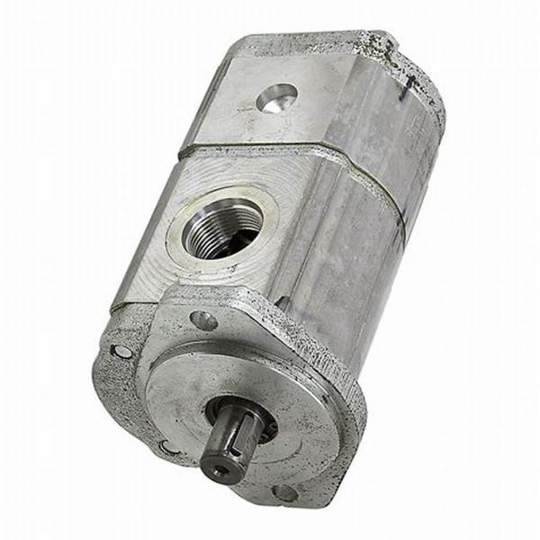 033.653-00A Cylindres Hydrauliques X 50 x 560 Pour Hommes #2 image