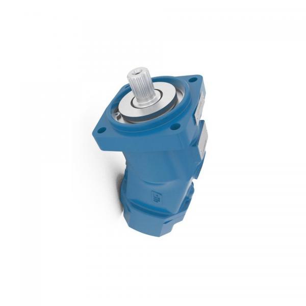 BOSCH REXROTH hydraulic axial piston fixed pump A17FO023/10NLWK0E81-0 R902162388 #2 image