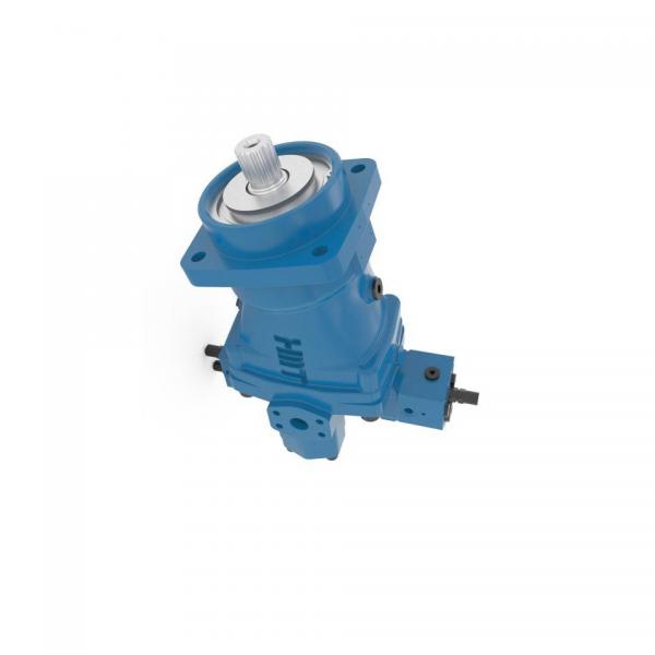BOSCH REXROTH hydraulic axial piston fixed pump A17FO032/10NLWK0E81-0 R902162390 #2 image