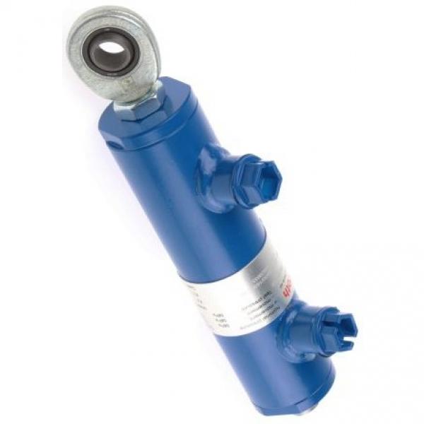 NEW Rexroth Bosch Pneumatic Cylinder 0822398210 D 100 H 100 #1 image